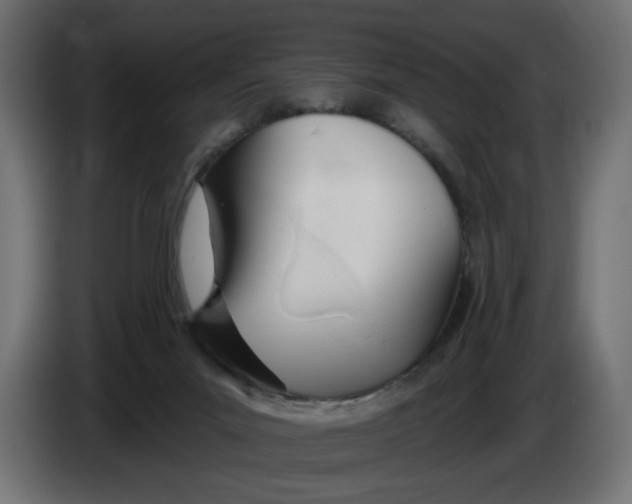X0000086100023200704132157