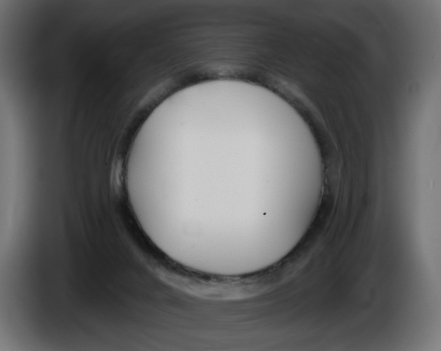 X0000086100024200704132157