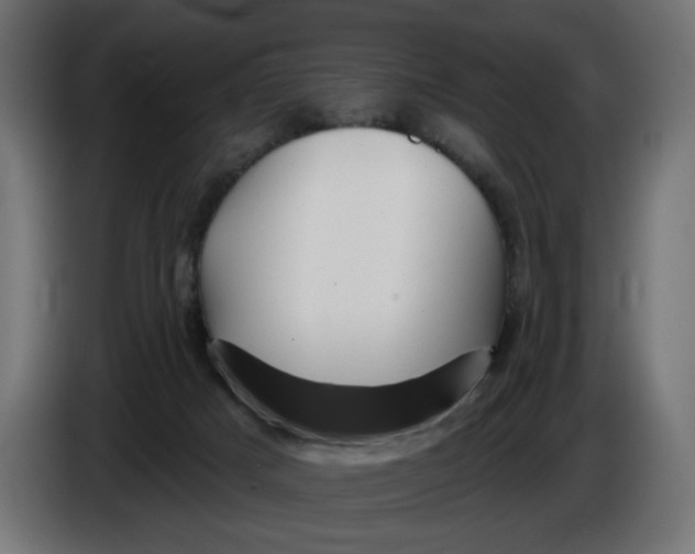 X0000086100025200704132157
