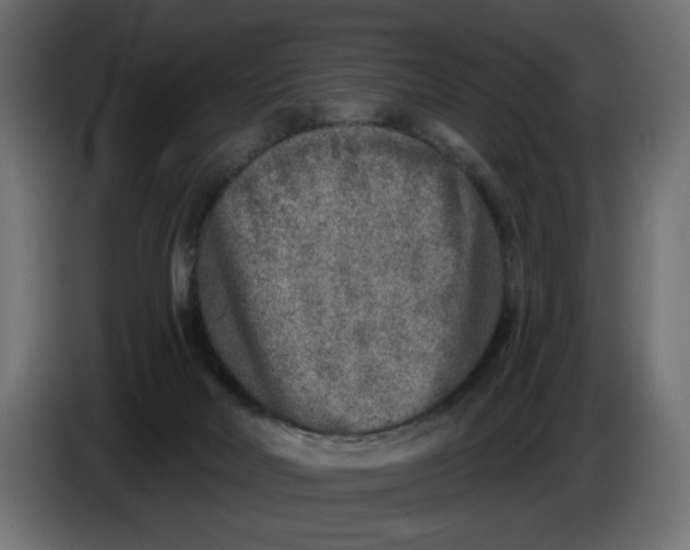 X0000086100026200704132157