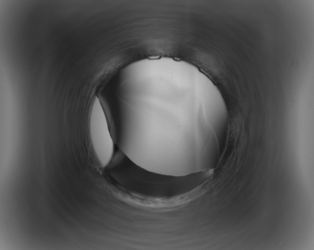 X0000086100027200704132157