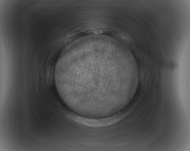 X0000086100030200704132157