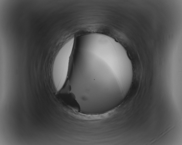 X0000086100031200704132157