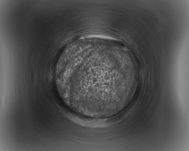 X0000086100032200704132157
