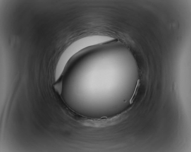 X0000086100033200704132157
