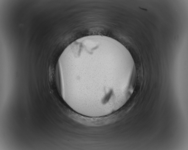 X0000086100038200704132157