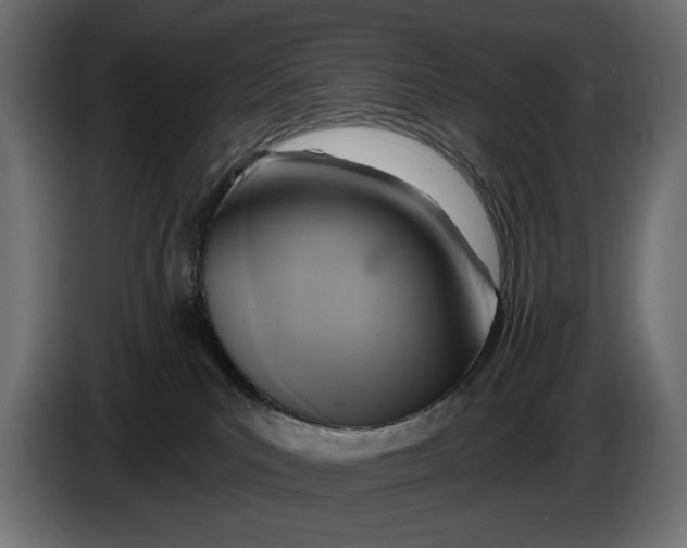 X0000086100039200704132157