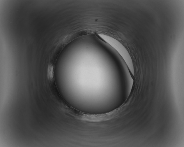 X0000086100041200704132157