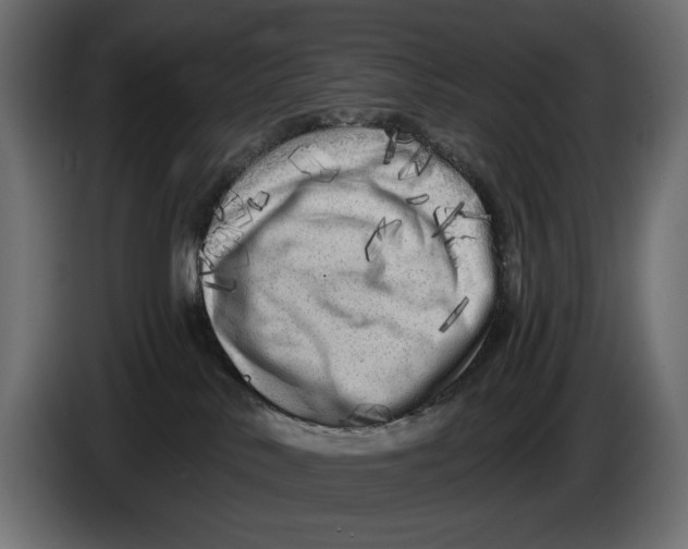 X0000086100042200704132157