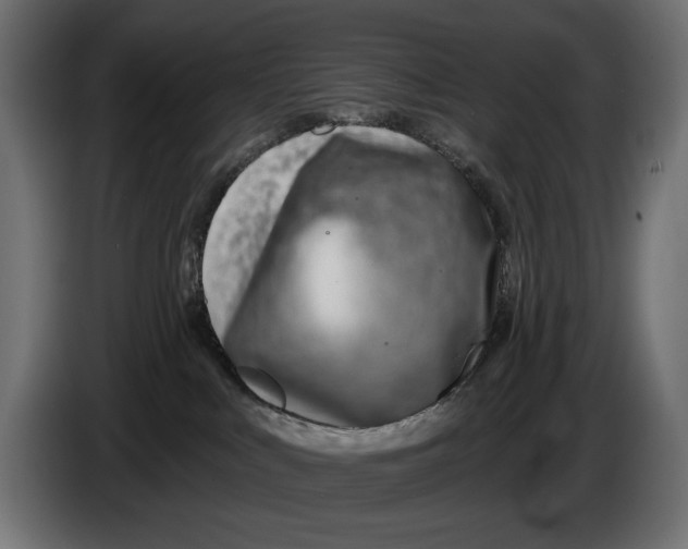 X0000086100043200704132157