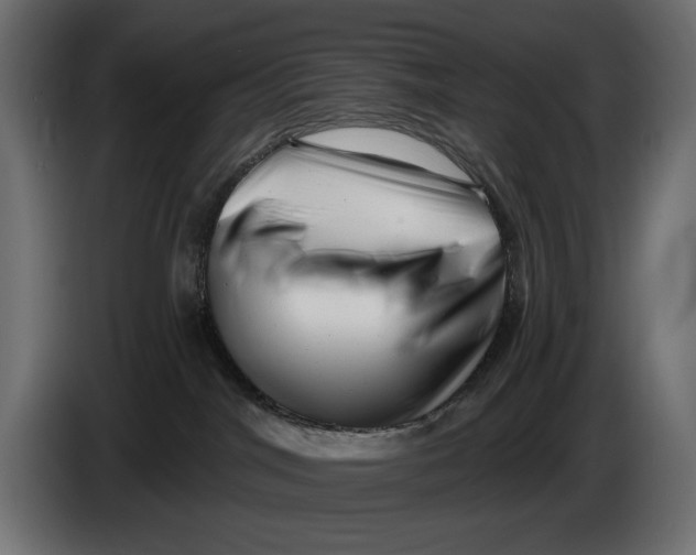 X0000086100044200704132157