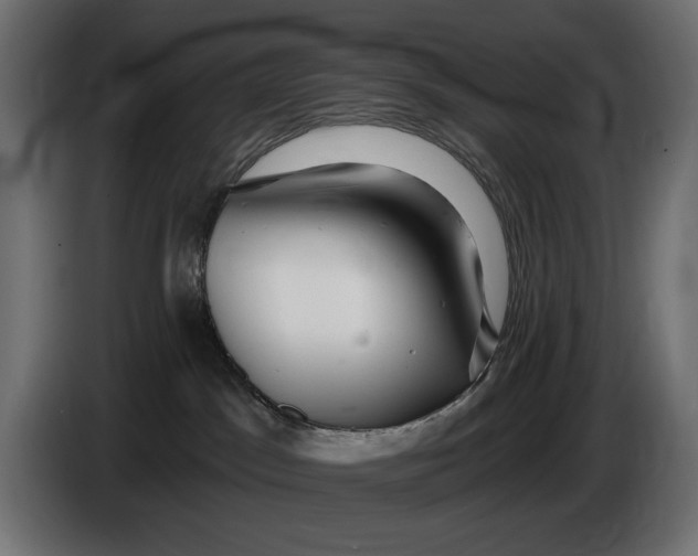 X0000086100045200704132157