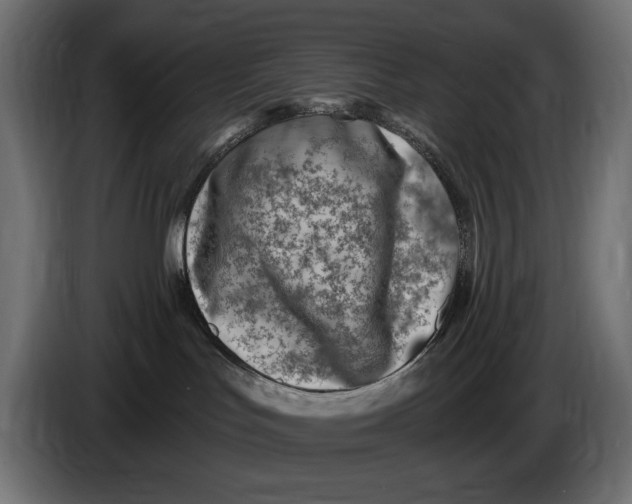 X0000086100047200704132157