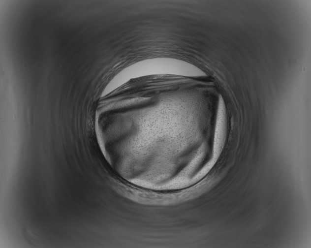 X0000086100048200704132157