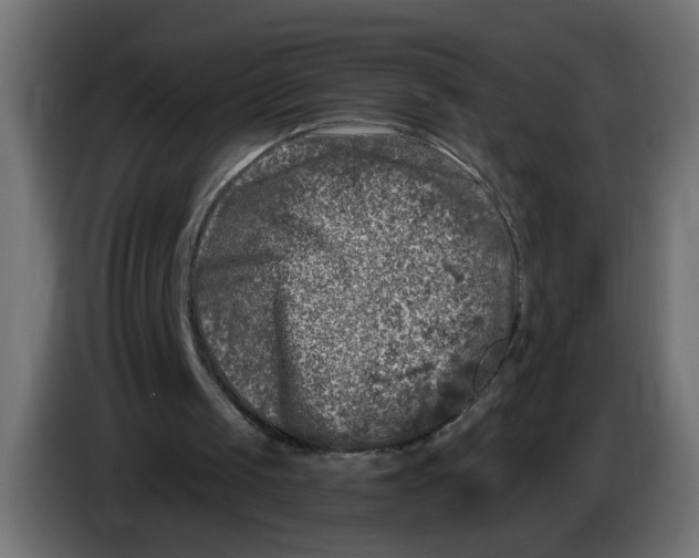 X0000086100049200704132156