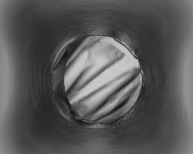X0000086100050200704132156