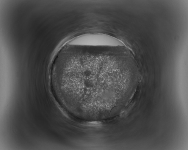 X0000086100053200704132156