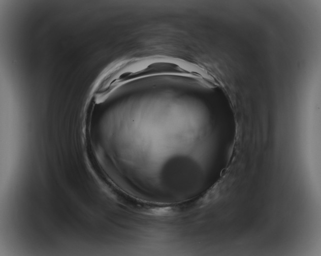 X0000086100054200704132156