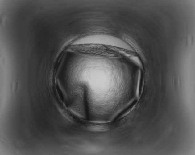 X0000086100058200704132156
