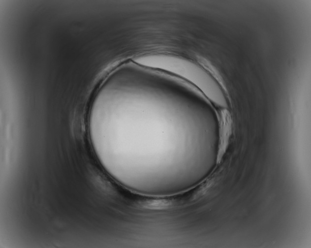 X0000086100059200704132156