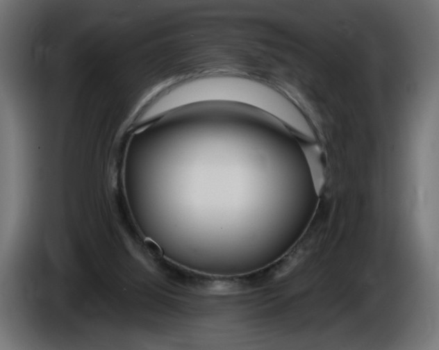 X0000086100060200704132156