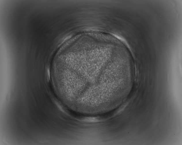 X0000086100061200704132156