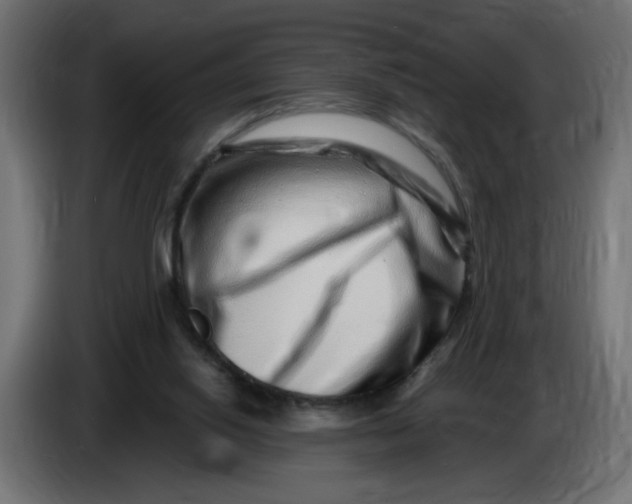 X0000086100062200704132156
