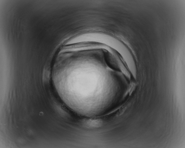 X0000086100063200704132156
