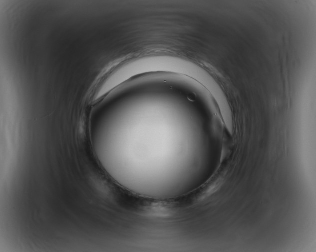 X0000086100064200704132156