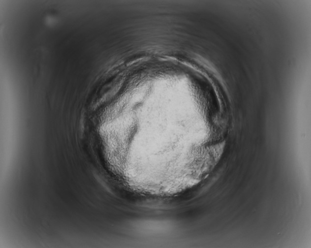 X0000086100065200704132156