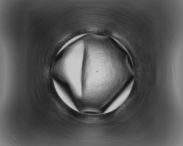 X0000086100066200704132156