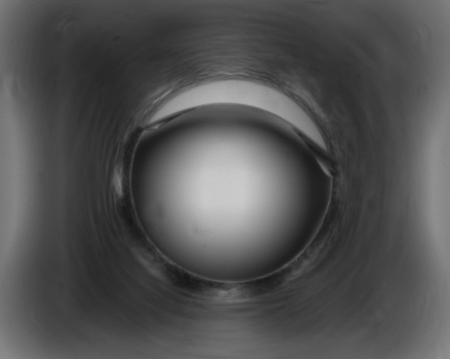 X0000086100068200704132156