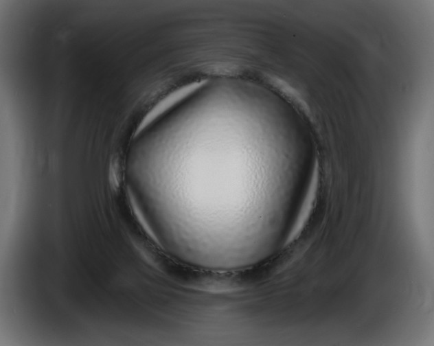 X0000086100069200704132156