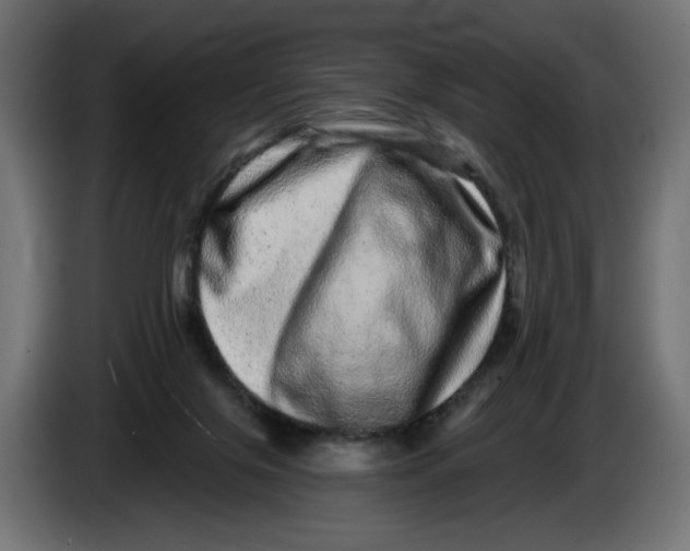 X0000086100071200704132156