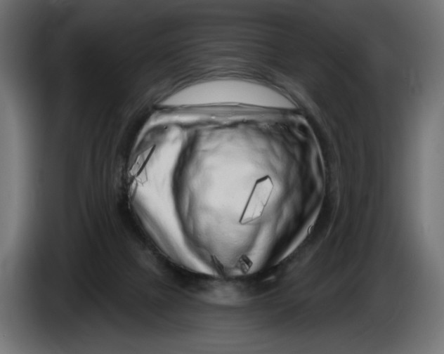 X0000086100073200704132156