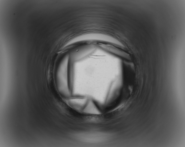 X0000086100074200704132156
