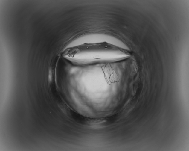 X0000086100075200704132156