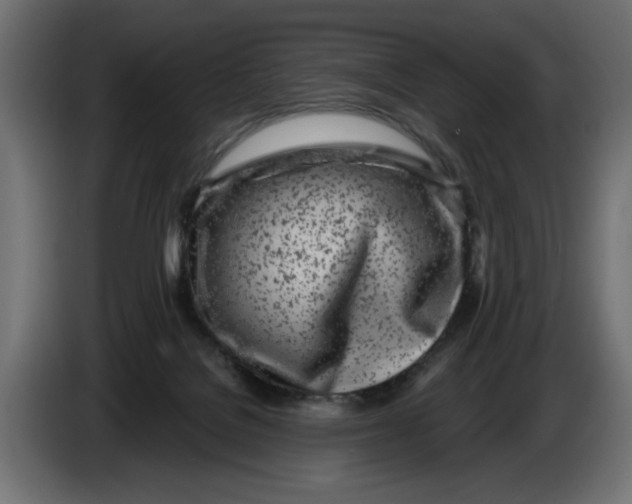 X0000086100076200704132156