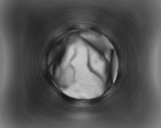 X0000086100078200704132156