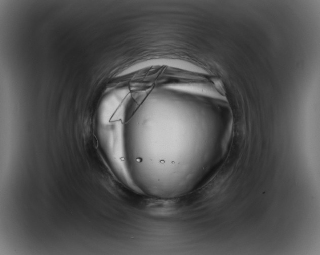 X0000086100081200704132156