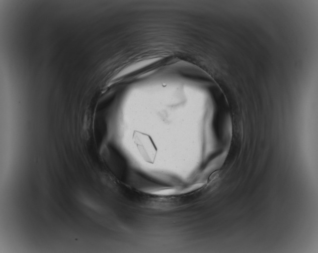X0000086100082200704132156