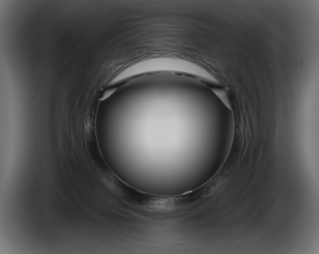 X0000086100084200704132156