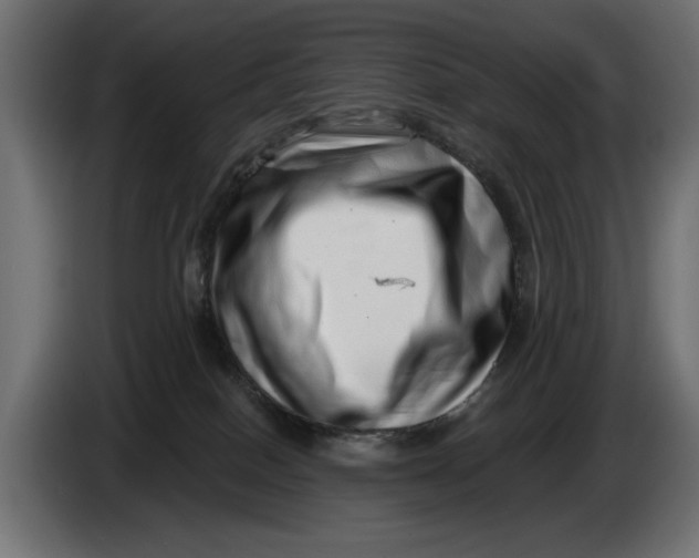 X0000086100086200704132157