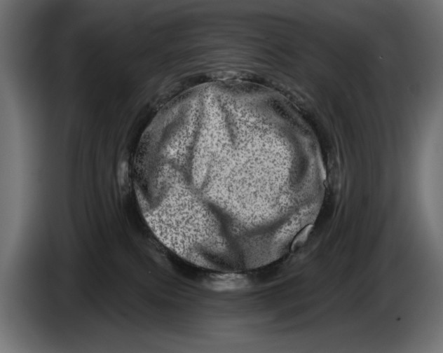 X0000086100087200704132157