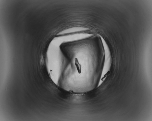 X0000086100089200704132157