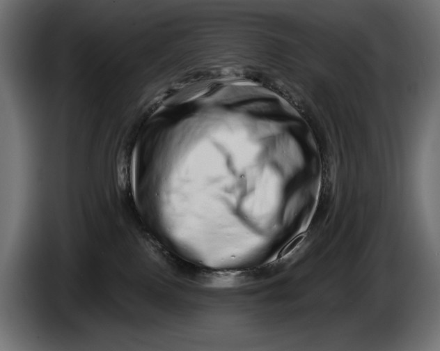 X0000086100090200704132157