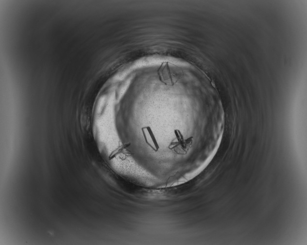 X0000086100091200704132157