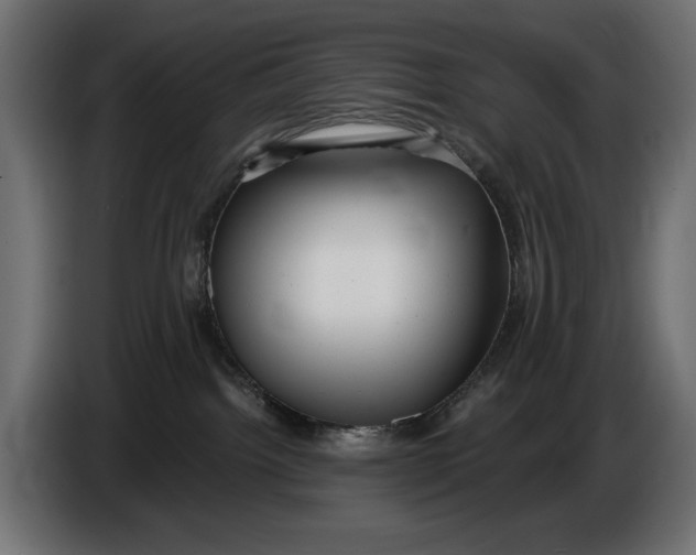 X0000086100092200704132157