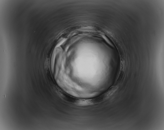 X0000086100093200704132157