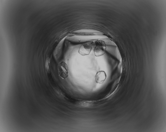 X0000086100094200704132157